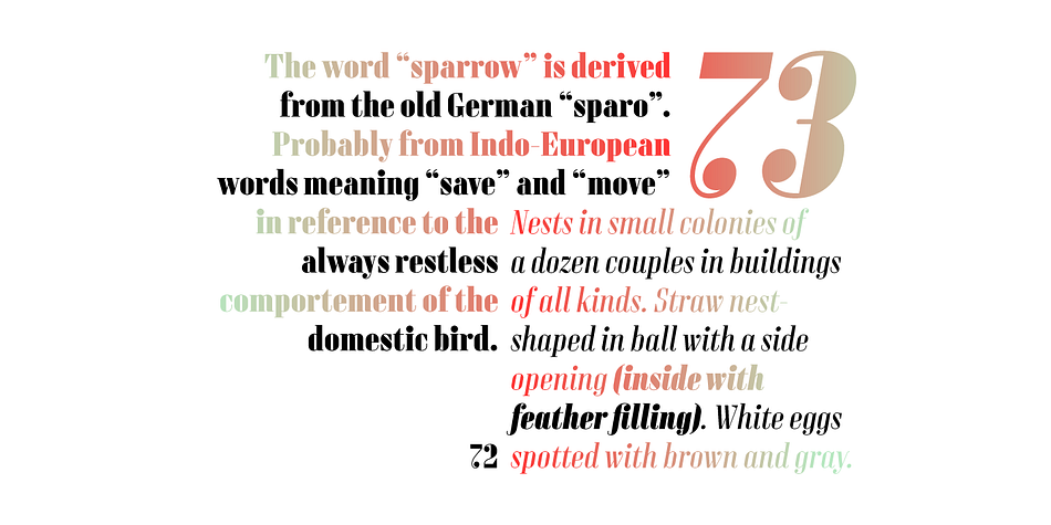 Sperling FY font family example.