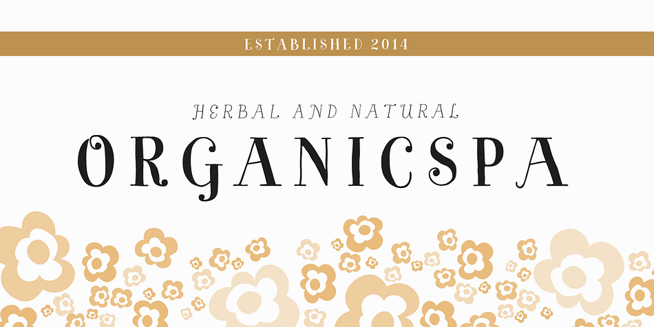 Bach is a sixteen font, multiple classification family by Los Andes Type.