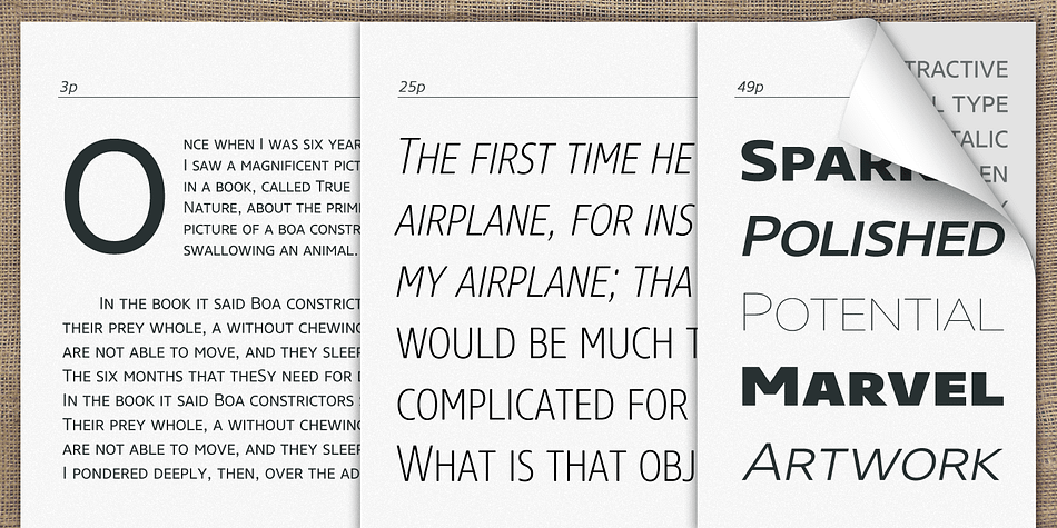 The Core Sans N SC Family consists of 3 widths (Condensed, Normal, Extended), 9 weights (Thin, ExtraLight, Light, Regular, Medium, Bold, ExtraBold, Heavy, Black), and Italics for each format.
