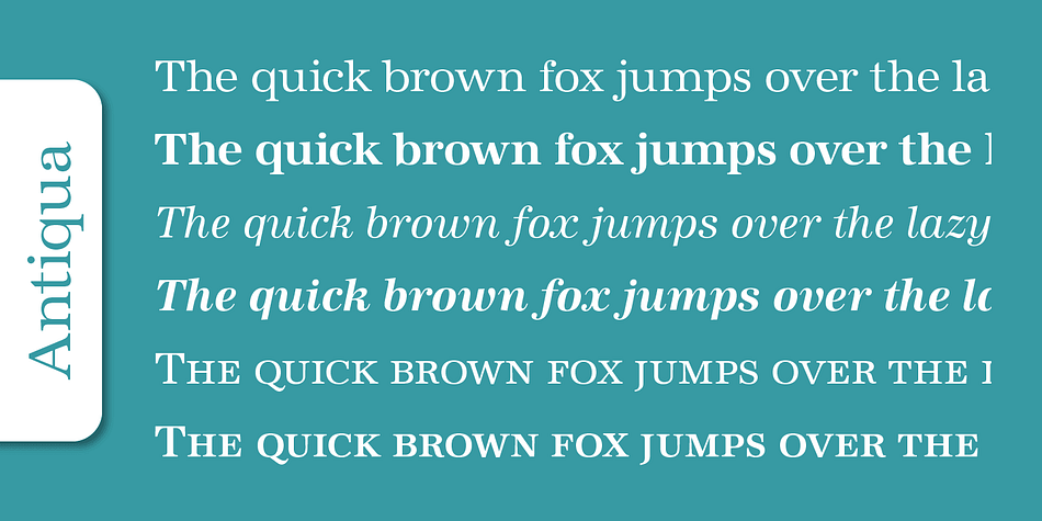 Antiqua Pro is a a six font family.