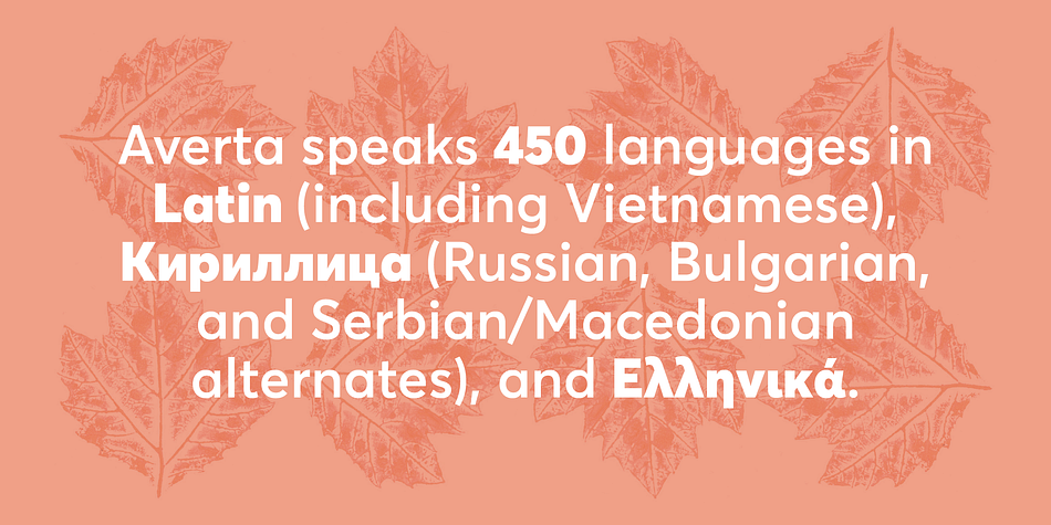 Not illuminated with strings of lights, nor decorated in any way, Averta does not mince your words; the name is Greek (αβέρτα) and means to act or to speak openly, bluntly, without hiding.