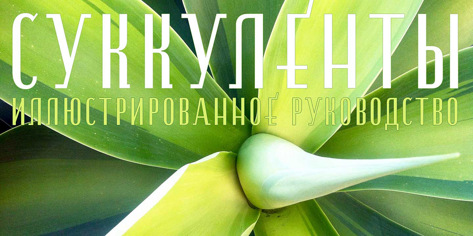 Supports most European languages that use the Latin, Greek, or Cyrilllic alphabets.