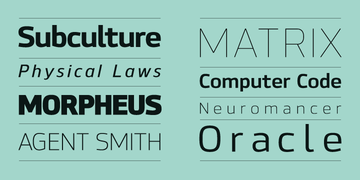 Details include 9 weights with italics, 500 characters, 5 variations of numerals, stylistic alternatives, manually edited kerning and Opentype features.