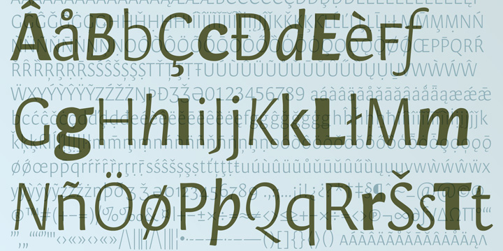 Displaying the beauty and characteristics of the Orenga font family.