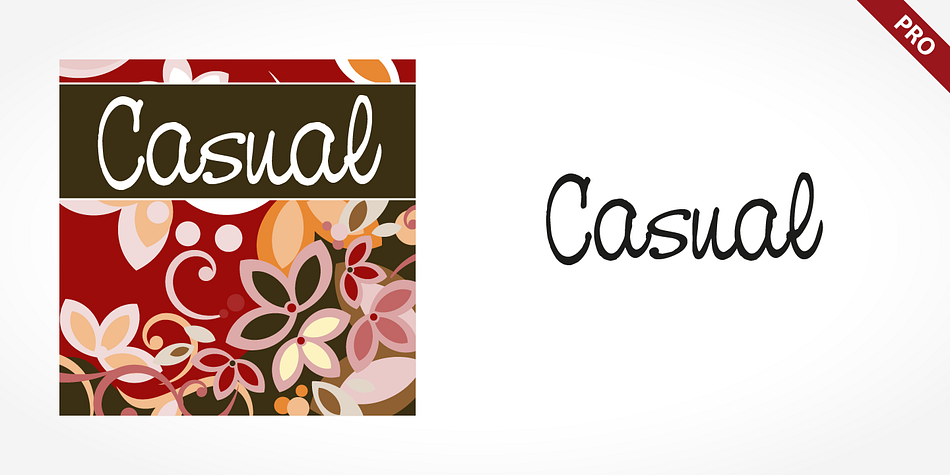 Displaying the beauty and characteristics of the Casual Pro font family.