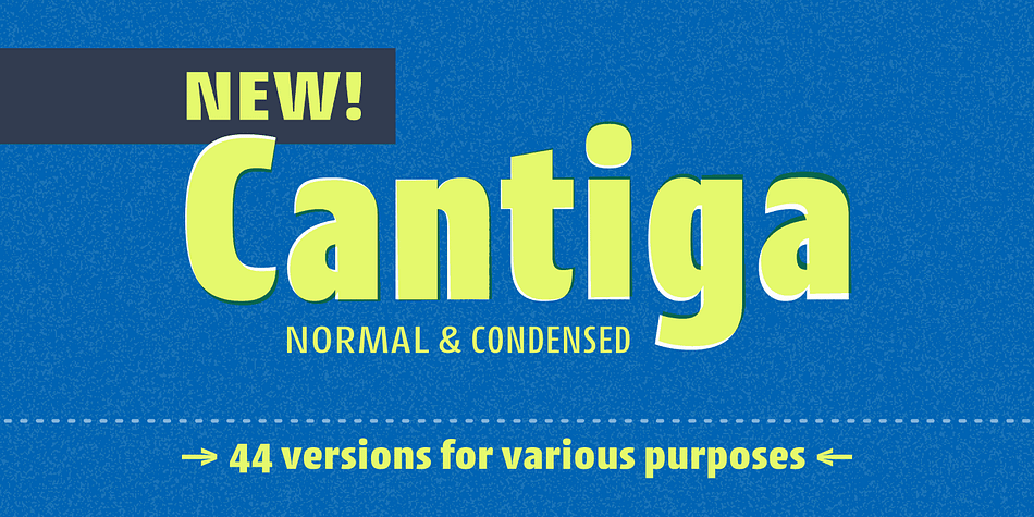 "Cantiga" is a monophonic song or melody, sometimes repetitive, often with unpretentious themes.