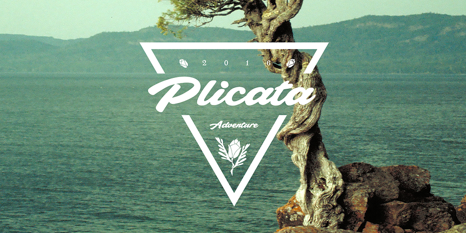 Plicata is a hand crafted typeface.