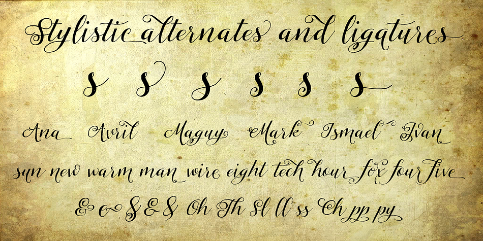 Tansy font has OpenType features such as Ligatures, Contextual alternates, swashes, stylistic sets and stylistic alternates that allows you to mix and match pairs of letters to fit your design.