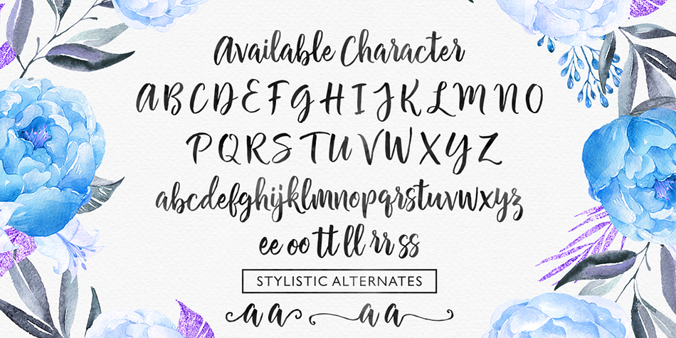 Highlighting the Chamelia Script font family.