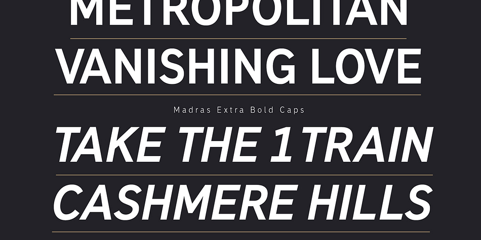 Madras is a fourteen font, sans serif family by Typegun.