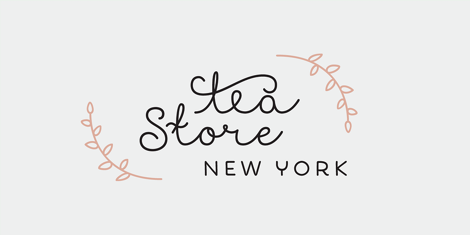 Showcase Font