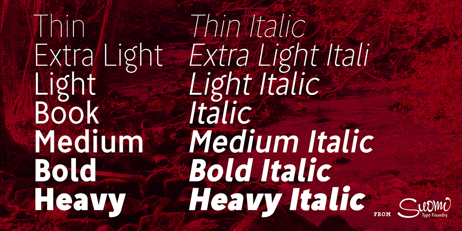 Displaying the beauty and characteristics of the Tool font family.
