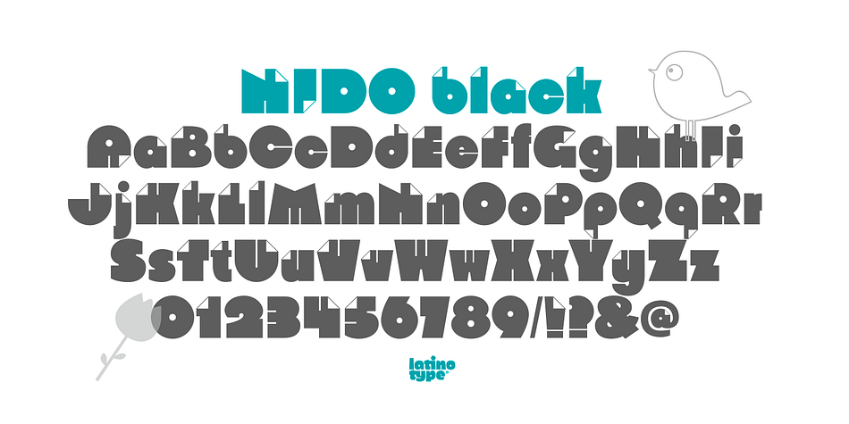 Displaying the beauty and characteristics of the Nido font family.