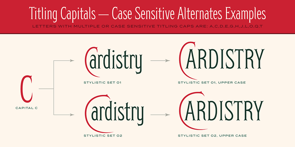 Highlighting the Herschel font family.