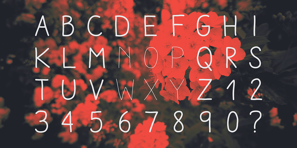 Check out her sisters Aracne Condensed and Aracne Ultra Condensed!