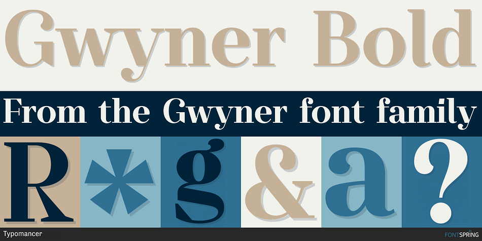 Gwyner Bold Font