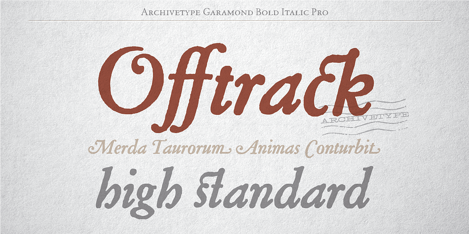 Designed by Matevz Medja, Archive Garamond Pro is a serif font family.