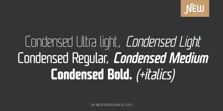 UNICOD SANS PRO is available in 5 weights with corresponding italics and 2 styles.