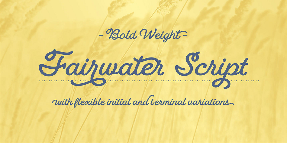 Fairwater also includes four showier serif faces for use at display sizes, culminating in the the vaguely botanical “Sailor” and elegantly striped “Deco” weights.