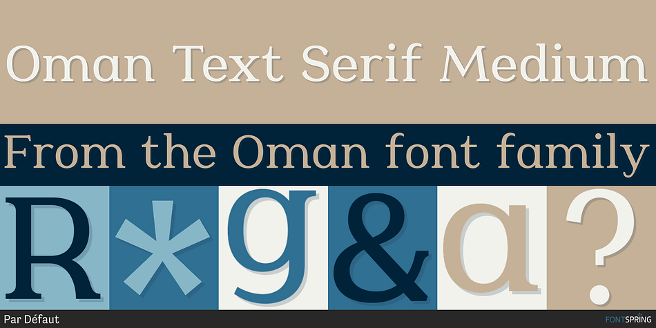 Oman Text Serif Medium Font