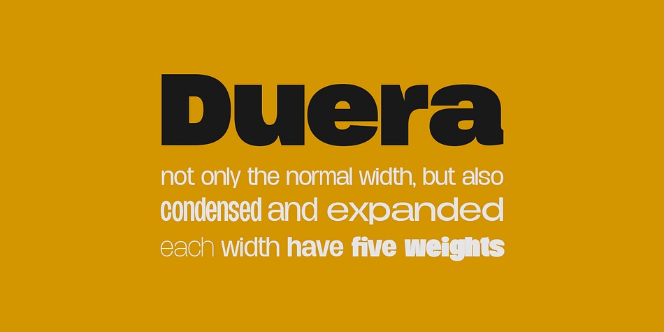 Displaying the beauty and characteristics of the Duera font family.