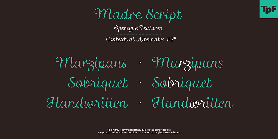Madre Script font family example.