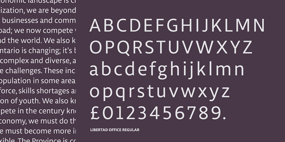 Emphasizing the popular Libertad Office font family.