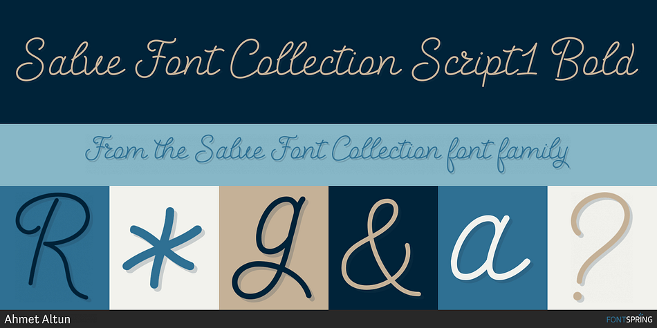 Salve Font Collection Script1 Bold Font
