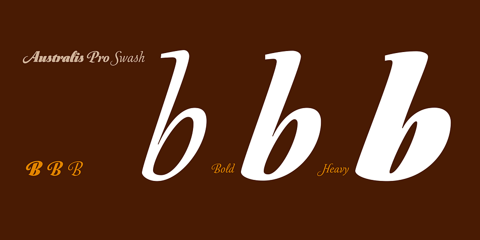 Displaying the beauty and characteristics of the Australis Pro Swash font family.
