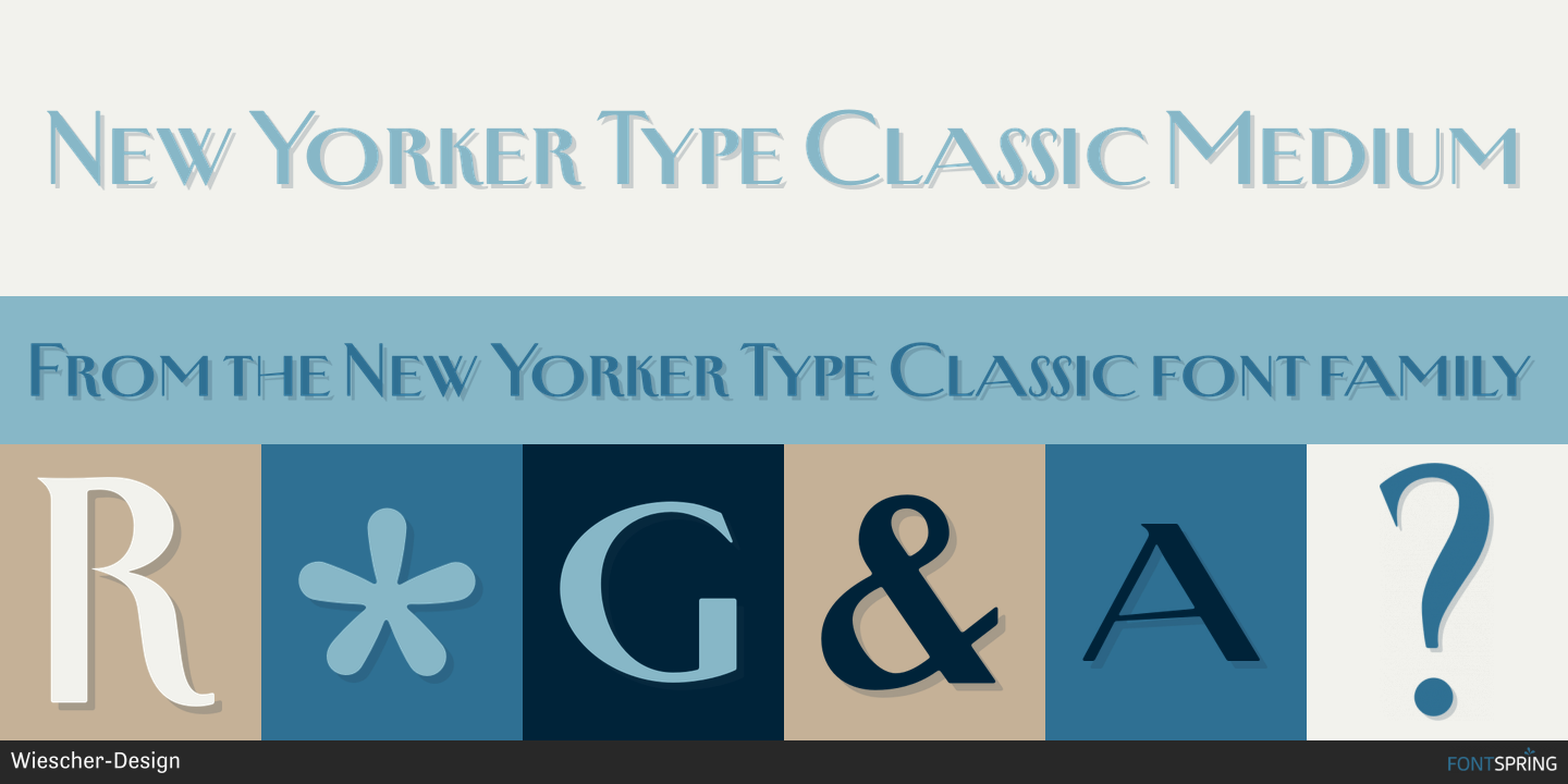 yamaki FP-20 ヤマキ New Yorker type New Yorker Type Pro Font | Webfont & Desktop | MyFonts