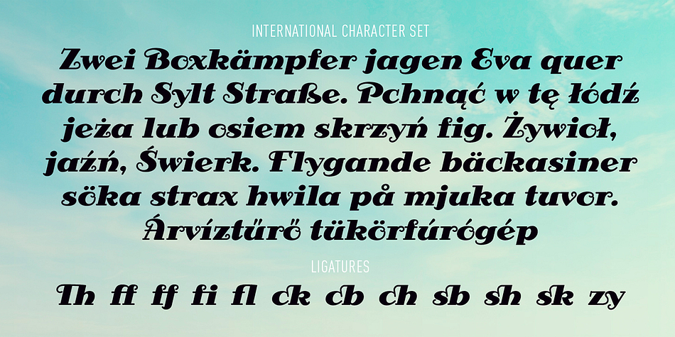 To use the OpenType features of the font you have to use OpenType in your application or use a Glyph panel.