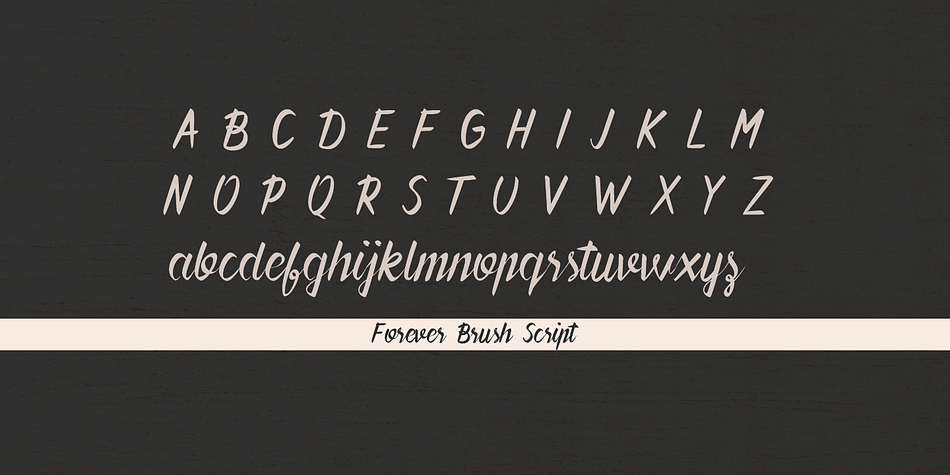 Forever Brush Script font family sample image.