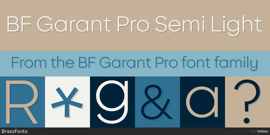 BF Garant Pro Semi Light Font
