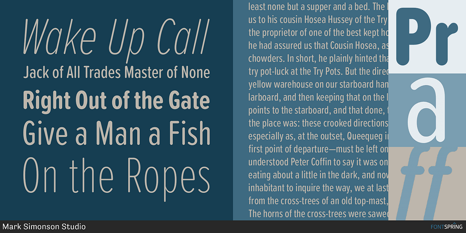 Displaying the beauty and characteristics of the Proxima Soft Extra Condensed font family.