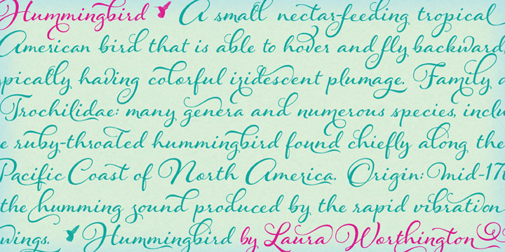 Displaying the beauty and characteristics of the Hummingbird font family.