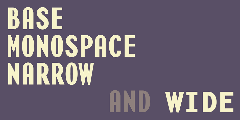 Displaying the beauty and characteristics of the Base Monospace font family.