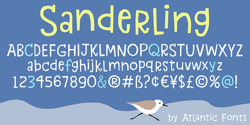 Sanderling has the legs to make waves!