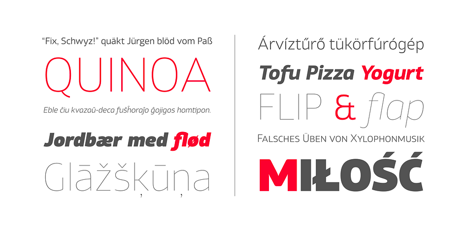 Highlighting the Xyngia font family.