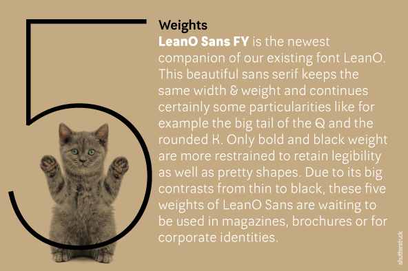 Highlighting the LeanO Sans FY font family.