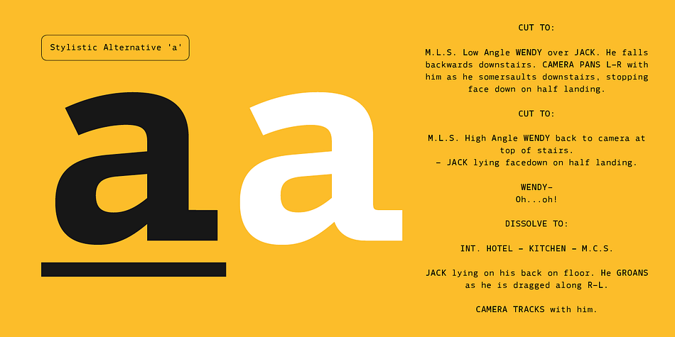 Details include five weights and true italics, over 590 characters with an alternative lowercase a, i, l and r.
