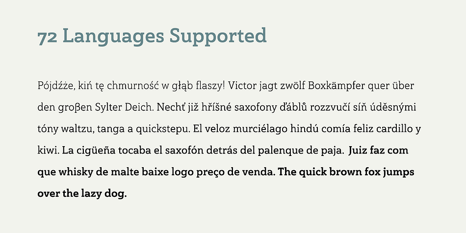 Its timeless wedge-molded serifs give this family the formula it needs to function flexibly in jobs from fashion to packaging.