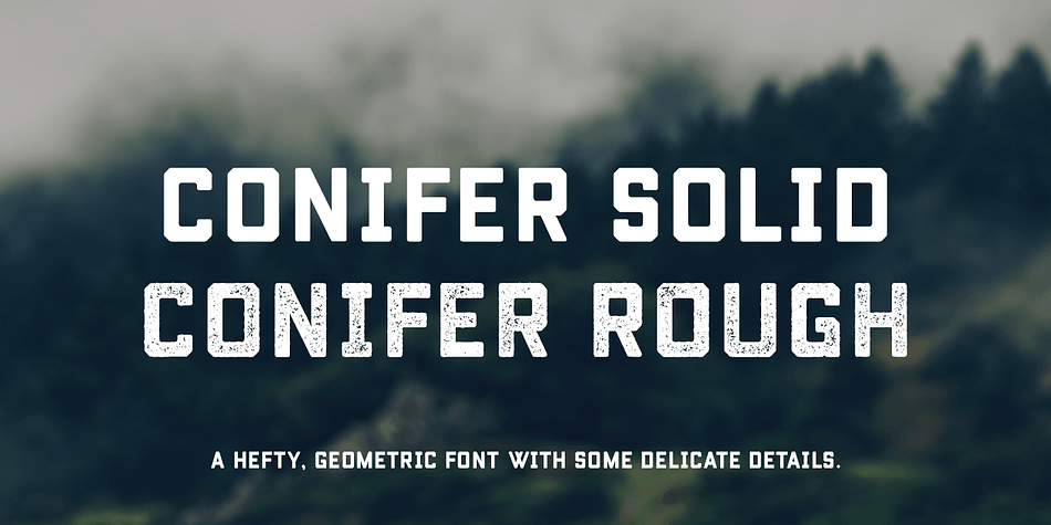 Conifer is a blocky geometric sans serif font that adheres to strict grid rules in order to define its corner angles.