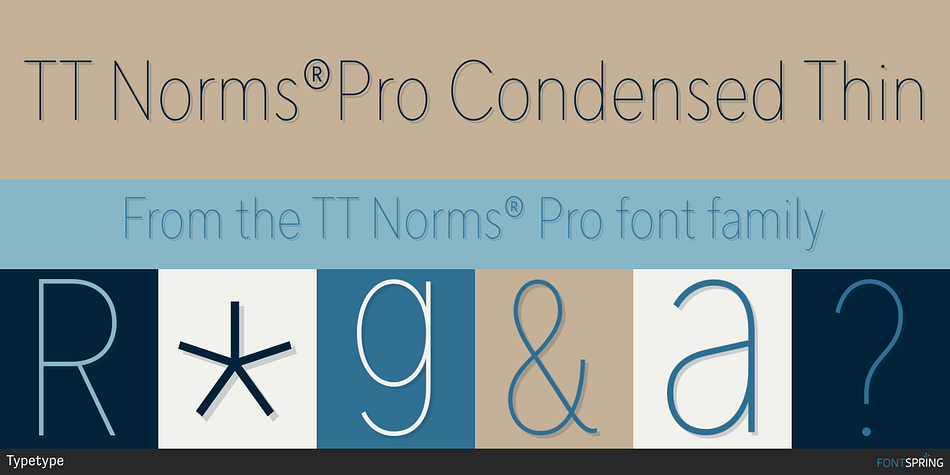 TT Norms®Pro Condensed Thin Font