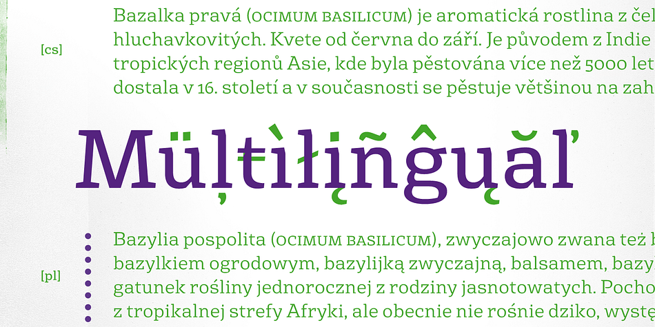 Displaying the beauty and characteristics of the Basil font family.