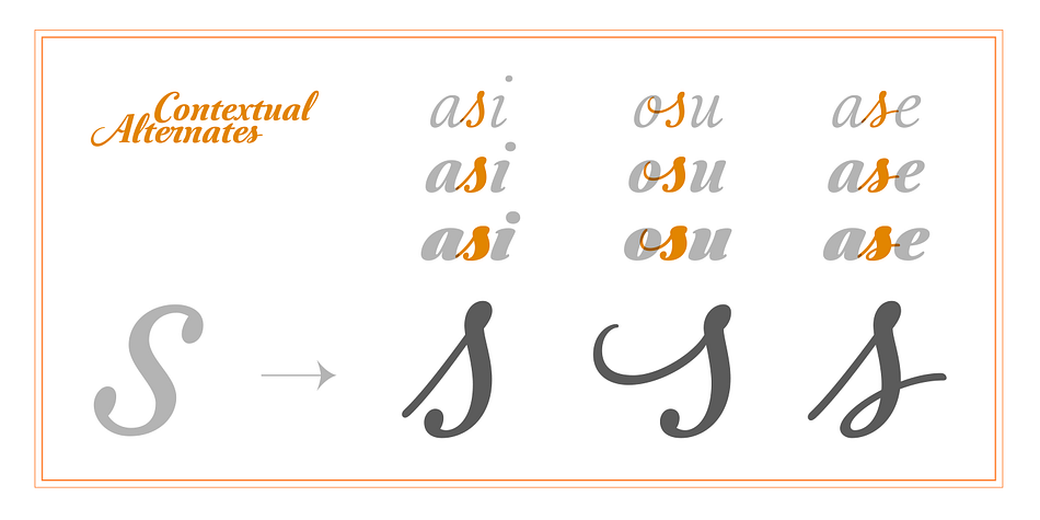 Australis Pro Swash font family example.