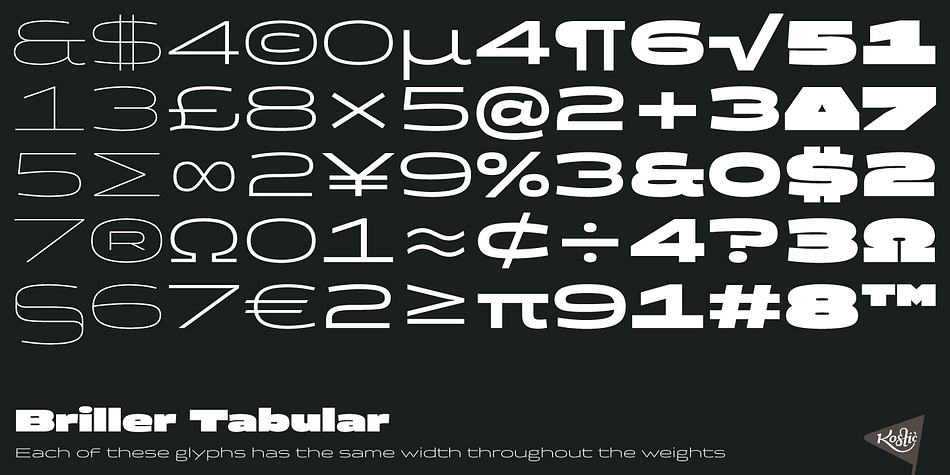 Displaying the beauty and characteristics of the Briller font family.