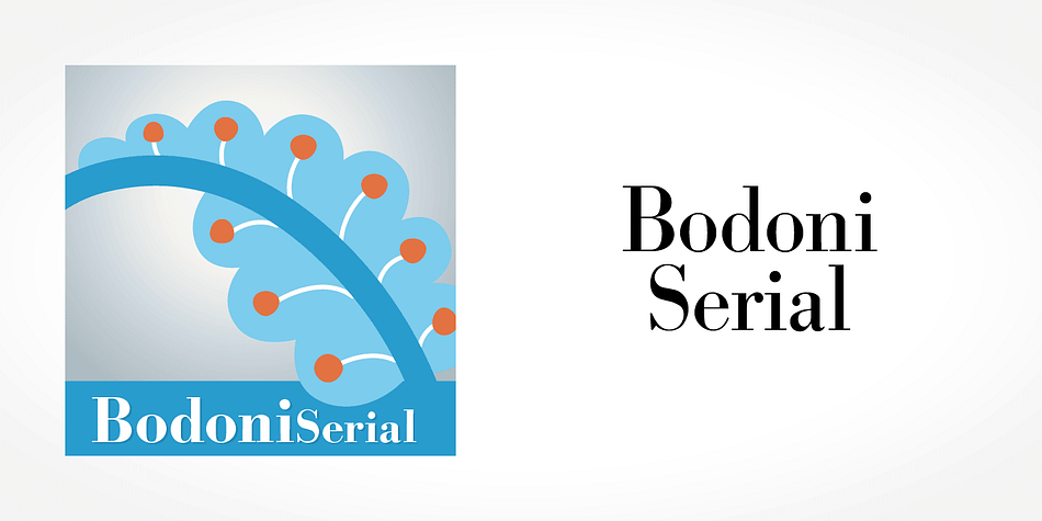 Displaying the beauty and characteristics of the Bodoni Serial font family.