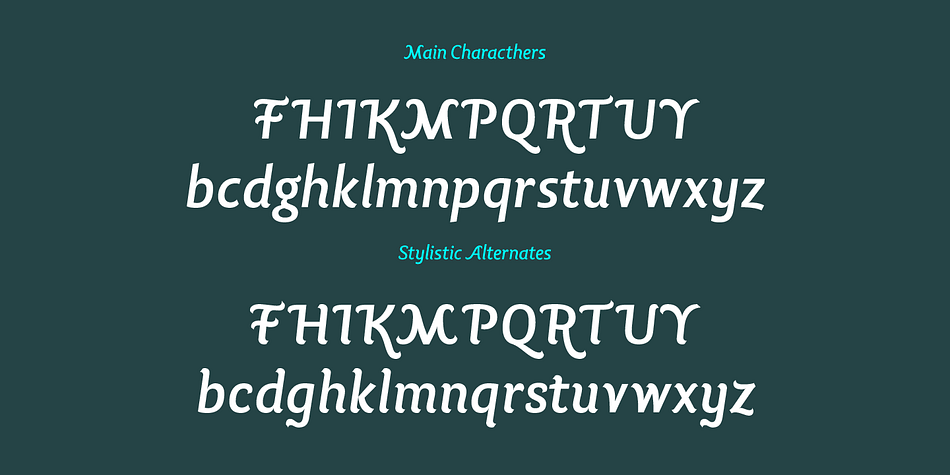 The uppercase letterforms are much more decorative than the lowercase, but both contain hook-head terminals and few contrast.