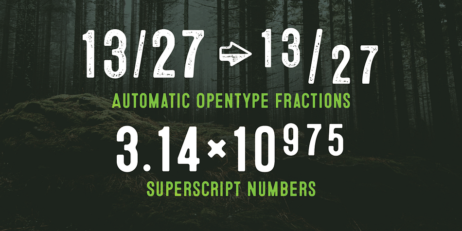 Opentype features include automatic fractions, subscript numbers, superscript numbers, and double-letter ligatures.