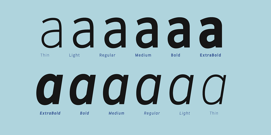 Displaying the beauty and characteristics of the Hoxton North font family.
